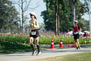 BIB: 
                            <button type="button" onclick="openModal(27608072)" class="btn btn-primary btn-sm float-right btn-popup" data-toggle="modal" data-target=".modal-high-quality">
                        <i class="fas fa-shopping-cart"></i> Add to Cart
                    </button>
                                            <button type="button" onclick="isThisMe(27608072, true)" class="btn btn-success btn-sm float-right btn-popup btn-isme hidden" data-toggle="tooltip" data-placement="bottom" title="นี่คือรูปของคุณใช่ไหม คลิกที่นี่เพื่อเอาเข้าอัลบั้ม">
                        <i class="fas fa-plus"></i> Add to album
                    </button>
                    <button type="button" onclick="isThisMe(27608072, false)" class="btn btn-warning btn-sm float-right btn-popup btn-isnotme hidden">
                        <i class="fas fa-ban"></i> Remove from album
                    </button>